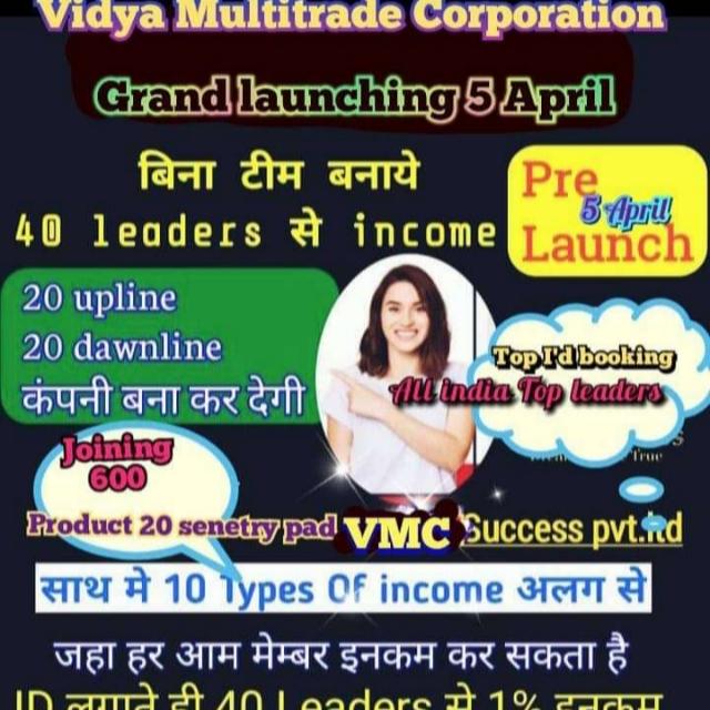 Vidya multitrade corporat