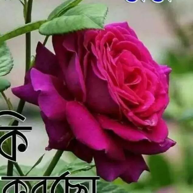Namo mission again 2k19 Whatsapp group