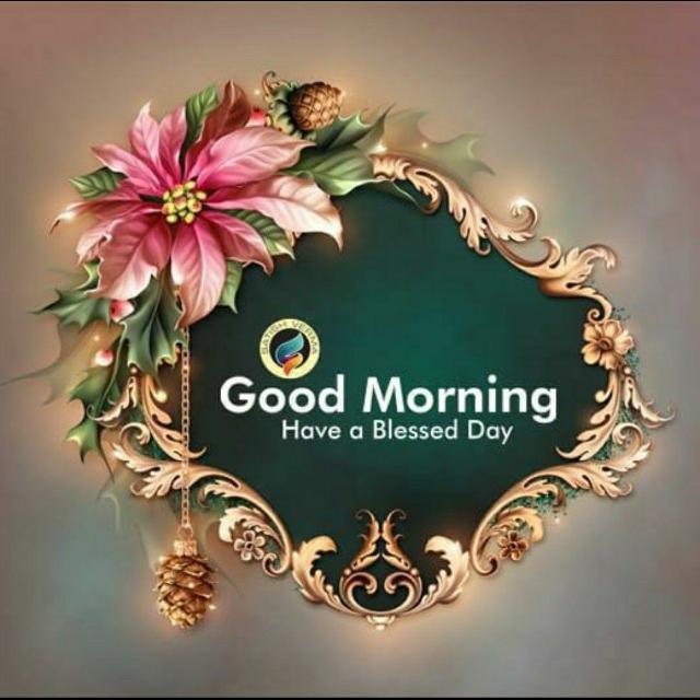 Watch description Whatsapp group
