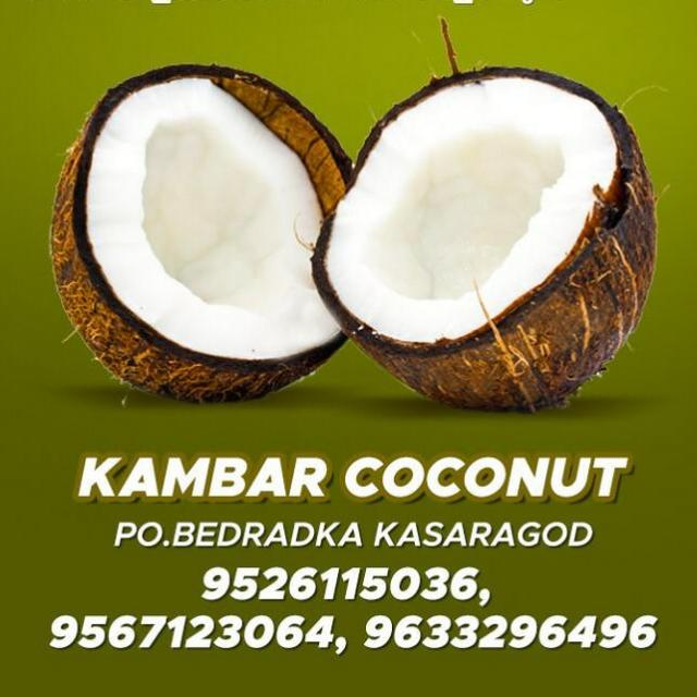 ?Kambar coconuts?