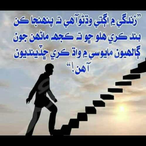 جيئي سنڌ»««««