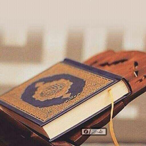 Quran aur hadis????