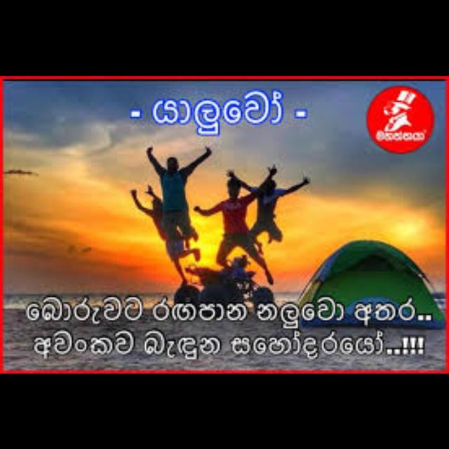 යාලුවො සෙට්එක?⃝♡꧂ᘝᘞ❤️❤️⃝??