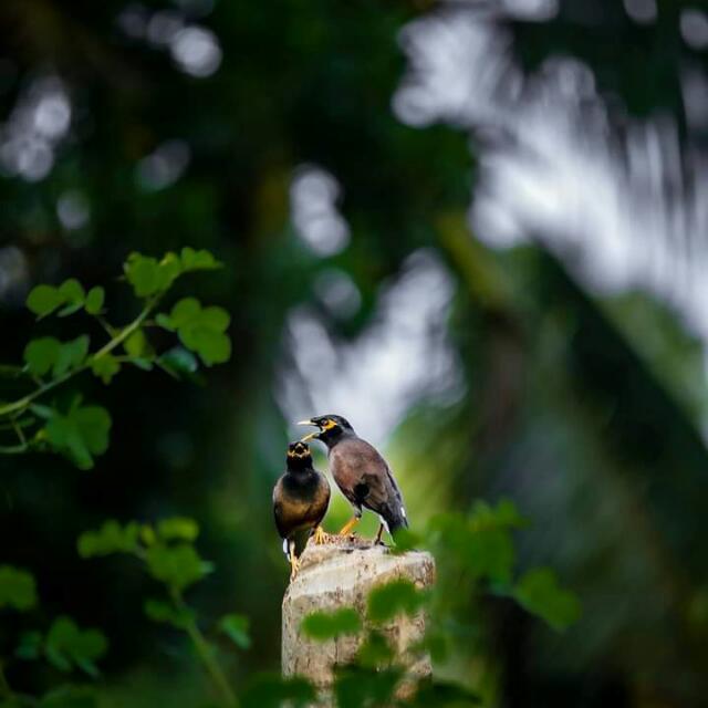 ?