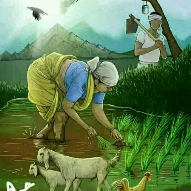 No Choice Whatsapp group