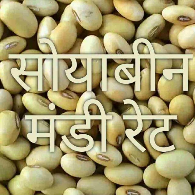 All M.H.बाजार भाव