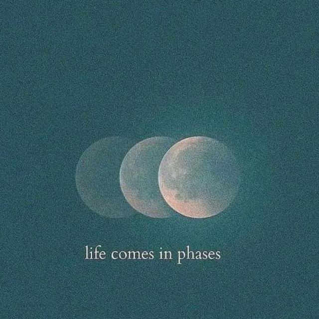 Quotes
