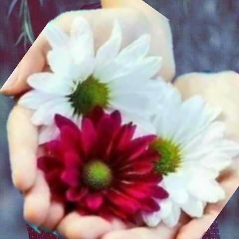 Masoom grup