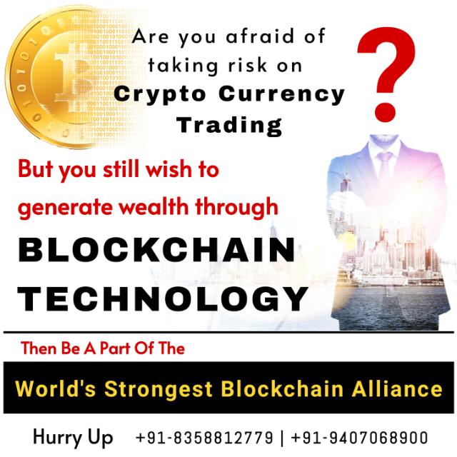 Team Synergy Network Whatsapp group