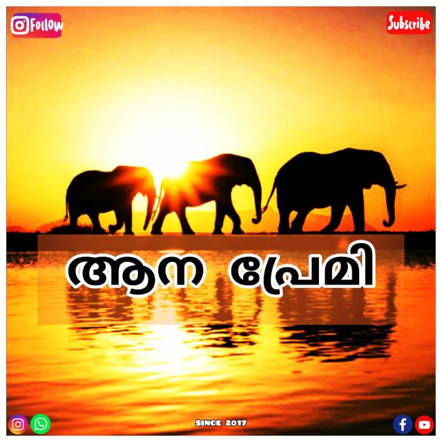 ? ആന പ്രേമി ????? ???????