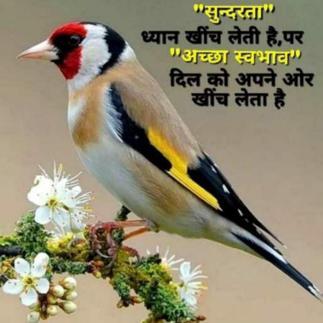 Earning from home????