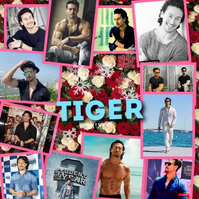 ? TIGERIANZZZ FANS CLUB?