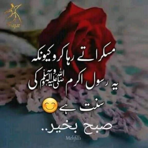 پاکستانی خبریں ??