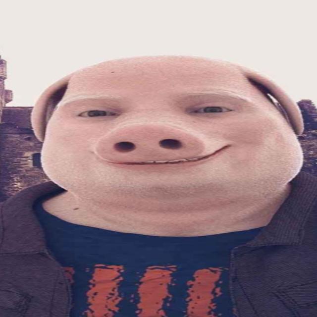Kinkku ryhmä