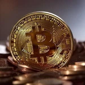 TRUST MILLION BINARY FX Whatsapp group