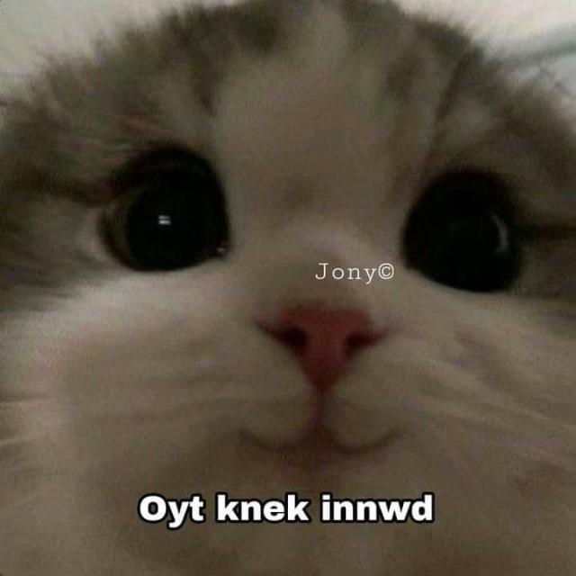 Chat group ?❤️
