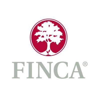 FINCASGLOBAL INC ELECTRON