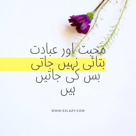 اھل ذوق?