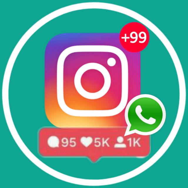 Gro Insta
