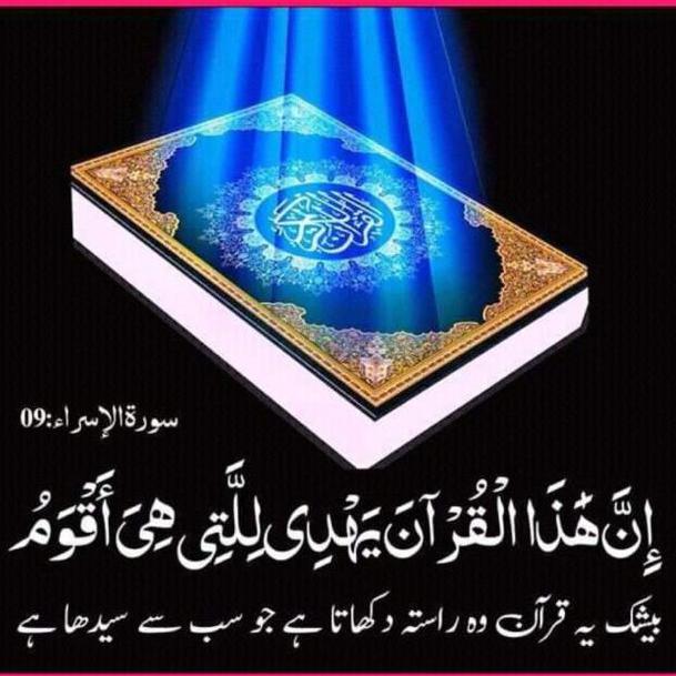 ﴿تاریخ اسلام﴾