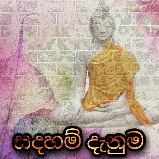 ۝⃟̥̩?⃟ꦾꦿසදහම් දැනුම?꧂ᘝᘞ