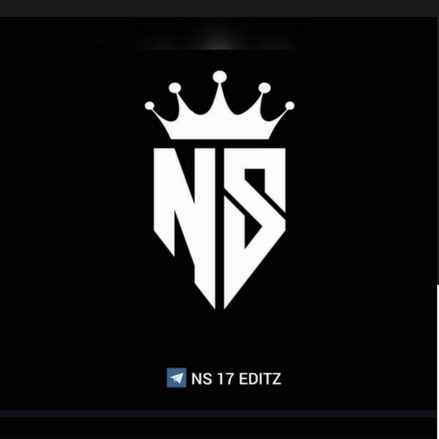 NS 17 EDITZ 
