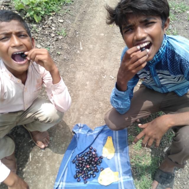 Gaw?? ki?? paltan?