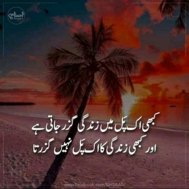 اِک پل کی زندگی۔۔۔