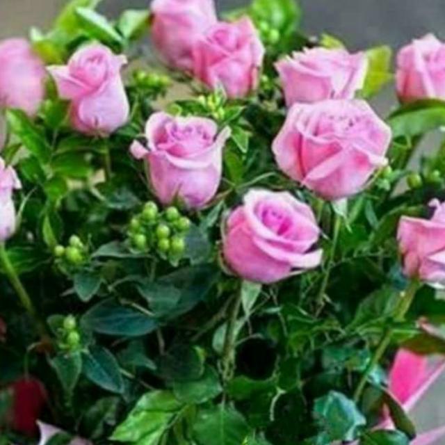 Flowers