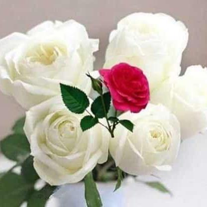 Smell the Flowers Whatsapp group