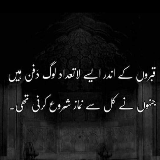 ?شاعری کی محفل?