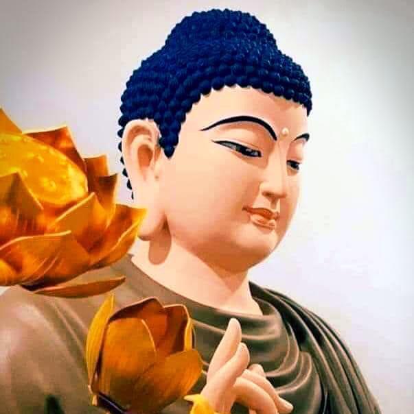 ☸️ දහම තුළින් බුදුන් දකිමු?