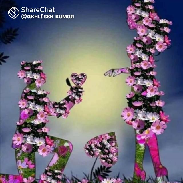 Only nice video Whatsapp group