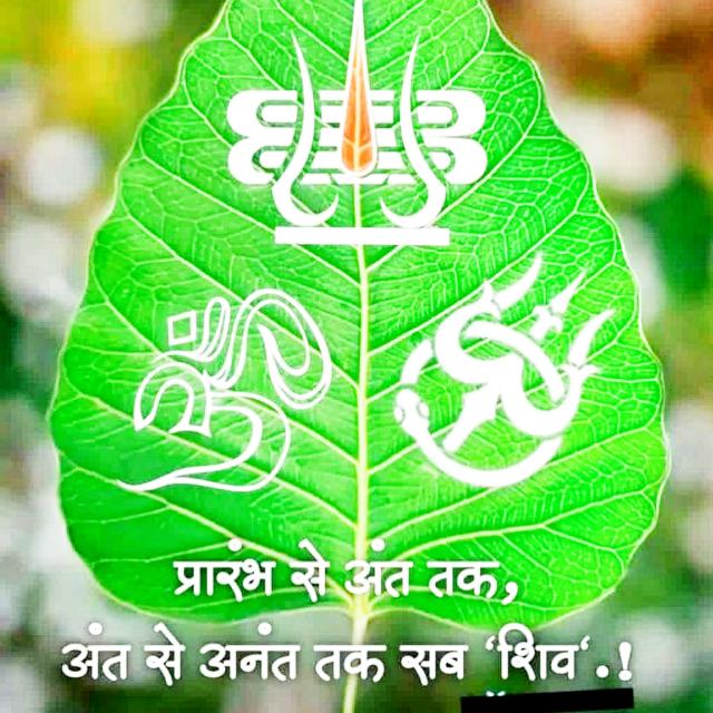 T. Mahakal g. Only