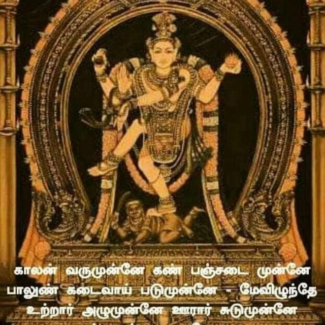 சிவசக்தி பிள்ளைகள்...