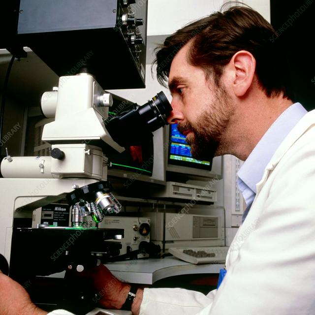 ♻️Series scientist future?