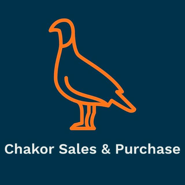 Ostrich & Chakor Sale & Purchase