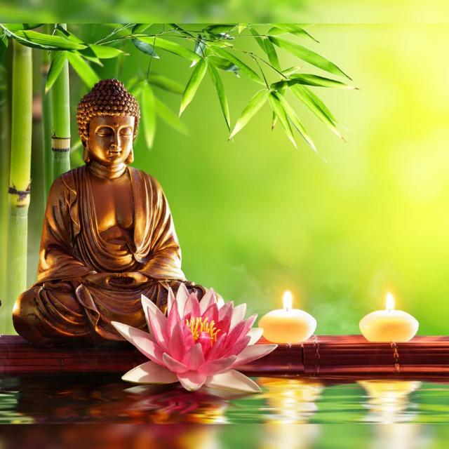 සංසාරයට නැවතුමක් ☸️?