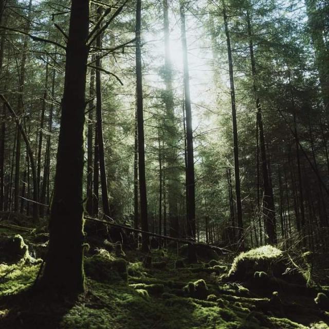 Nature Whatsapp group