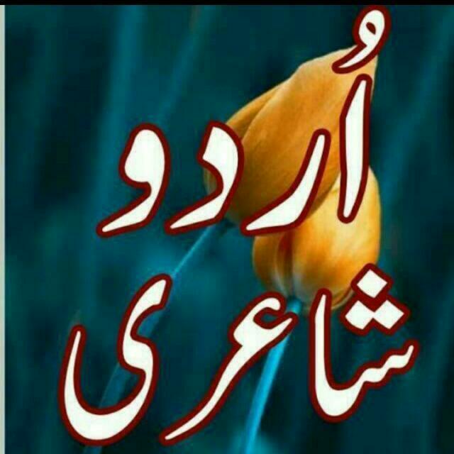 ??دل کی آواز?