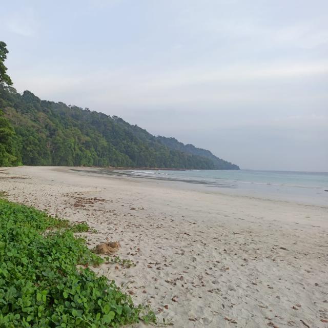 ANDAMAN TOUR GUIDE