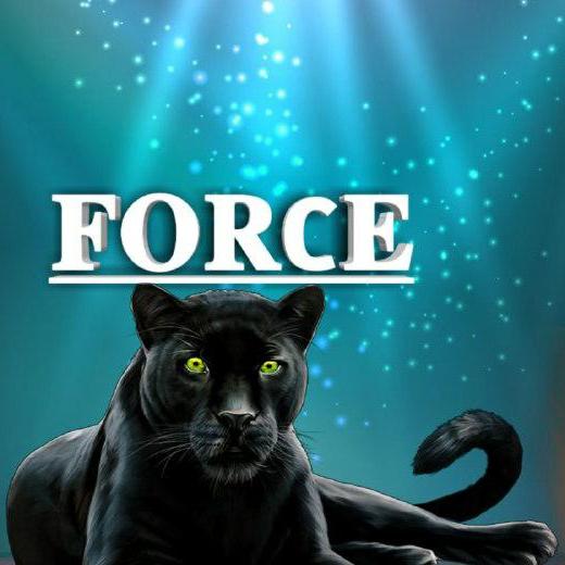 Meta Force Rajasthan