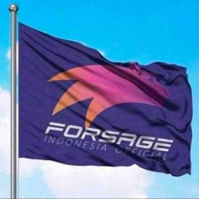 Forsage busd ??