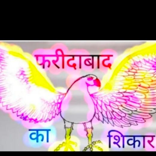 ?Faridabad single jodi??