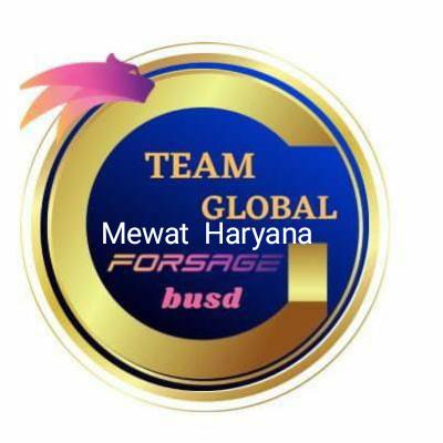 Forsage Team Global