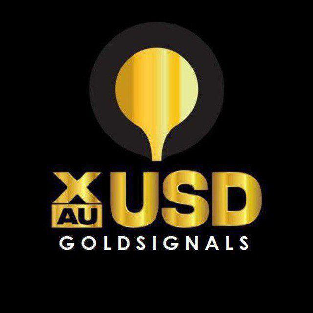 FOREX KING
