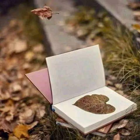 ِِچِـــل مَستِـــی گــرُوپ??