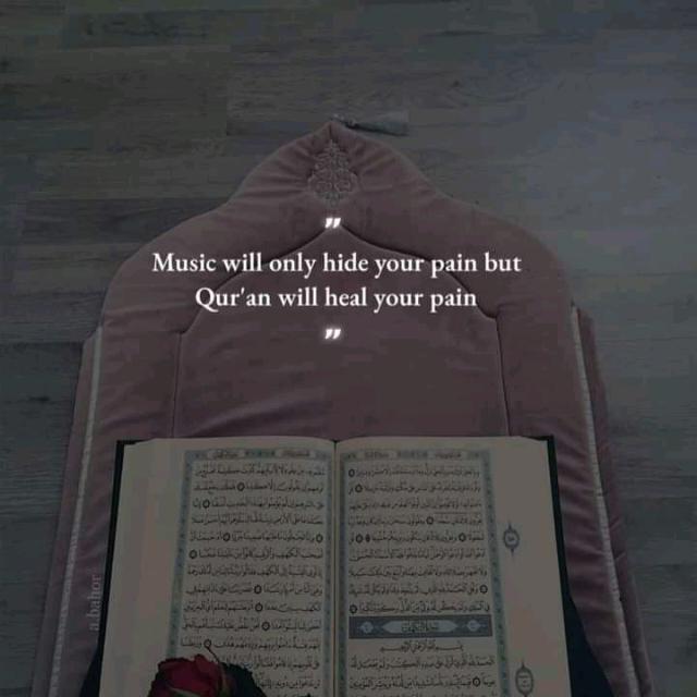 I invite u to study about islam?
