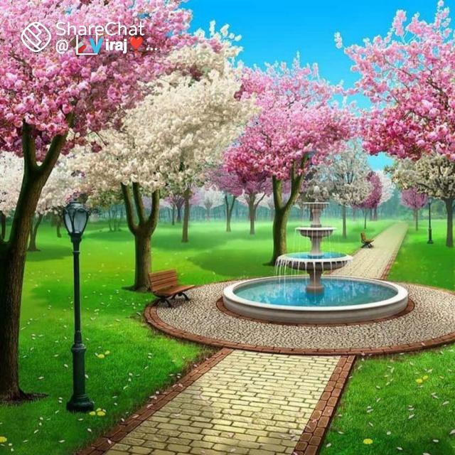 मोहब्बत?