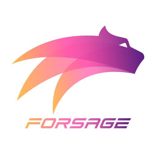 ??TEAM FORSAGE PAISA HI PAISA ??